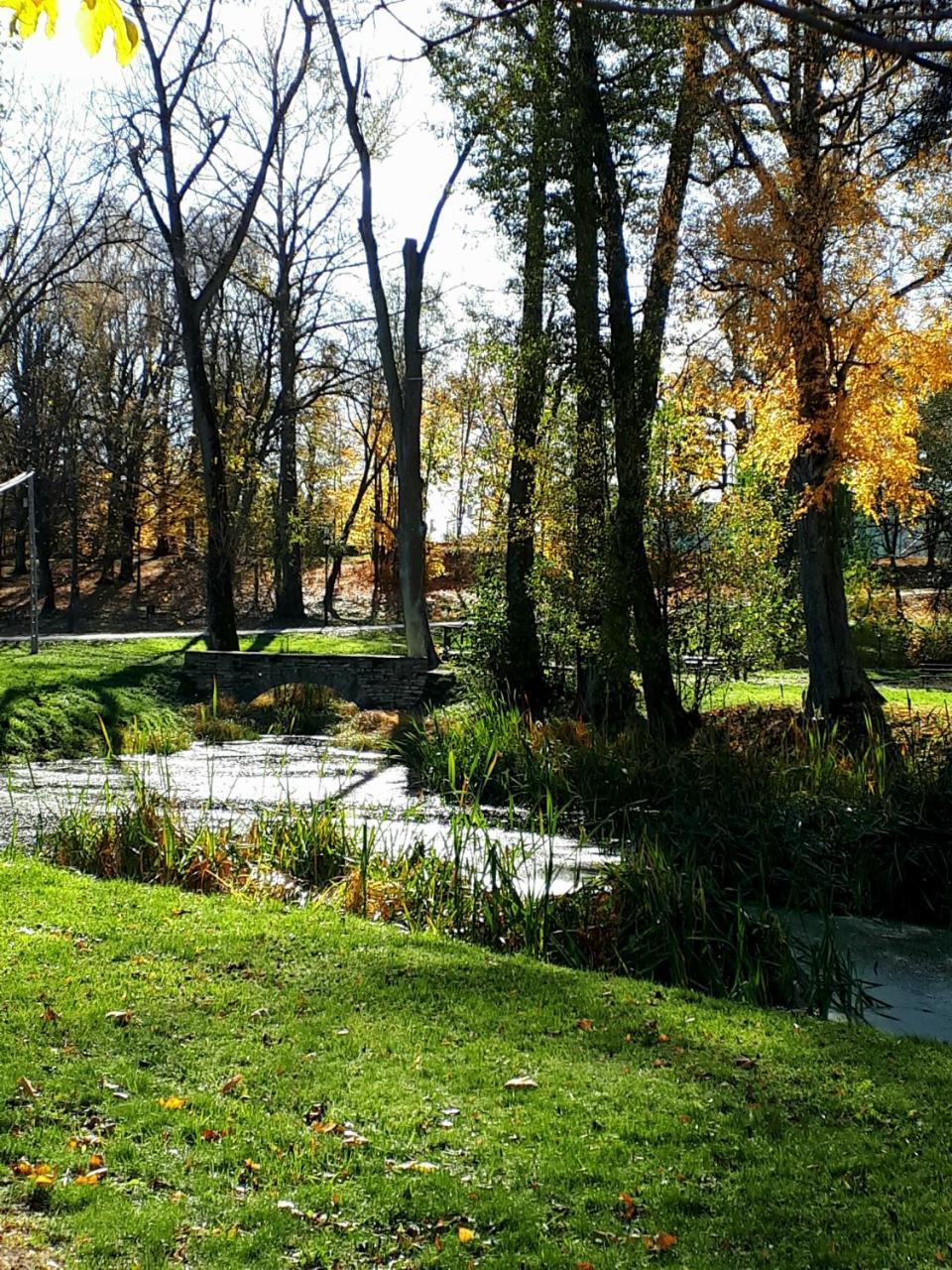 Podzamcze Falkow